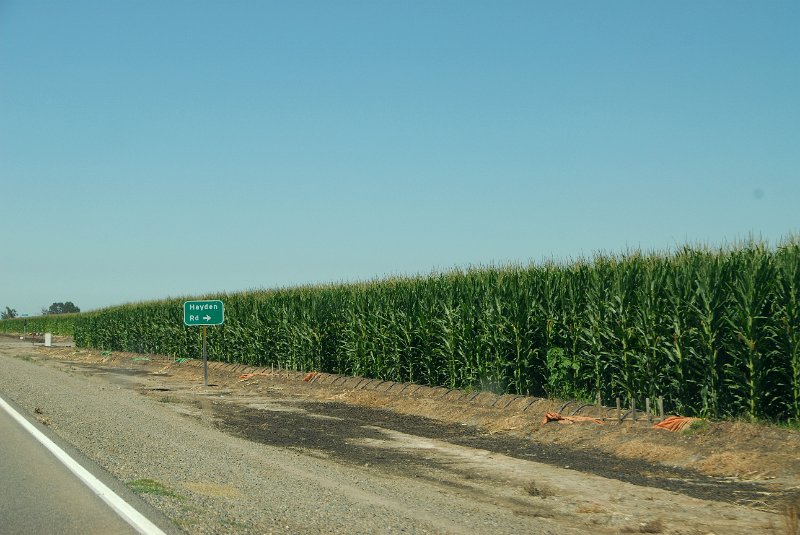 2011-07-18_San Francisco-Tag24_022.jpg